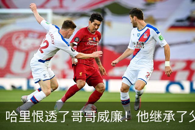 哈里恨透了哥哥威廉！他继承了父亲的王位不说，还继承了母亲的脸